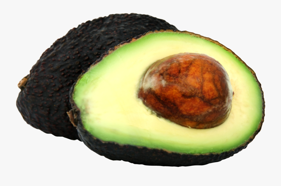 Avocado Clip Art - Fresh Avocado Png, Transparent Clipart
