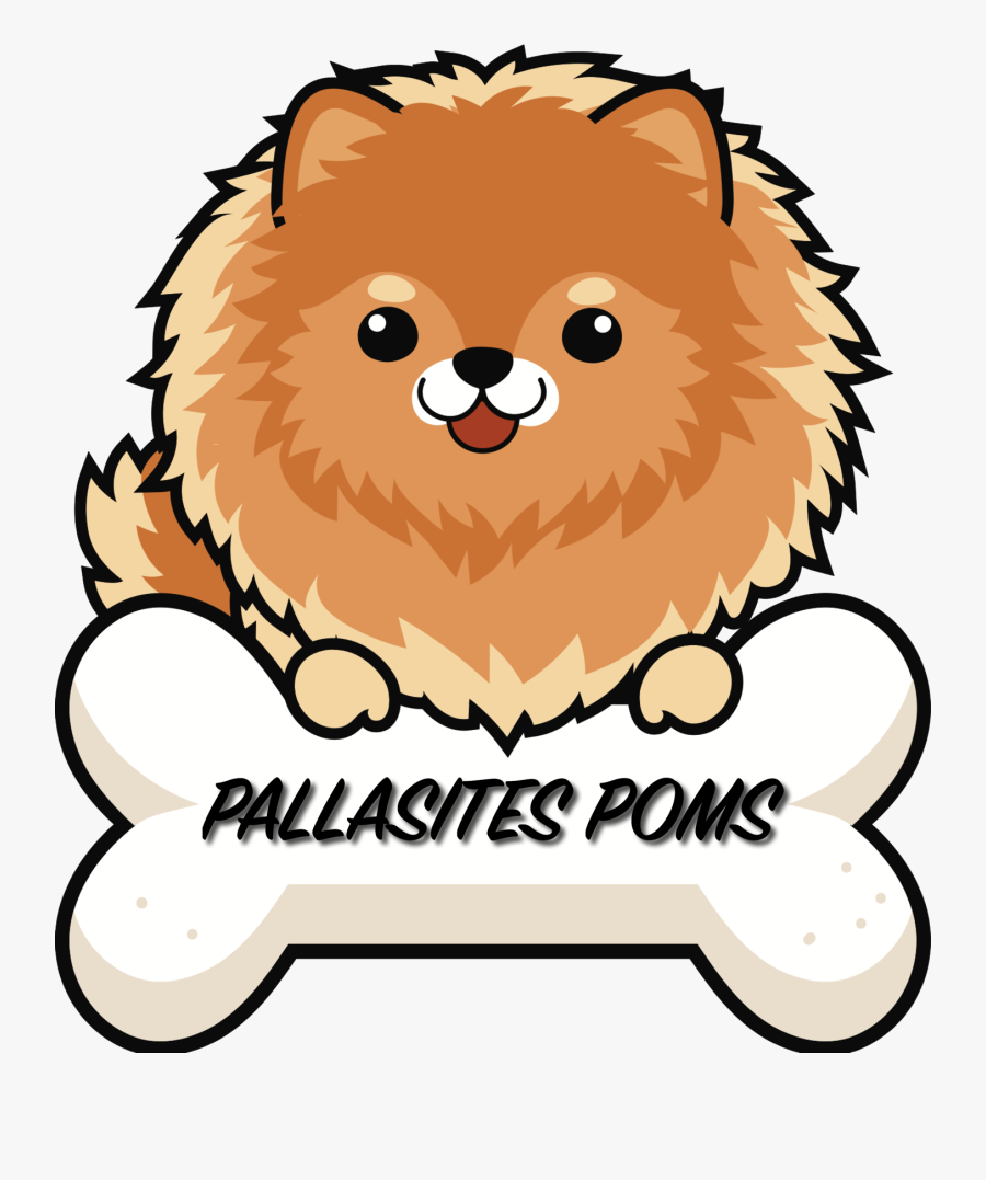 Cute Pomeranian Dog Cartoon Clipart , Png Download - Pallasites Poms, Transparent Clipart