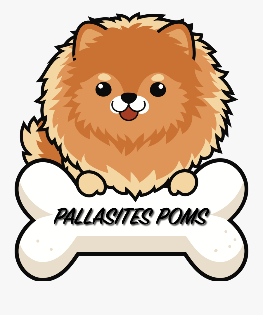 Pomeranian Cartoon Images / Download the perfect cartoon pictures