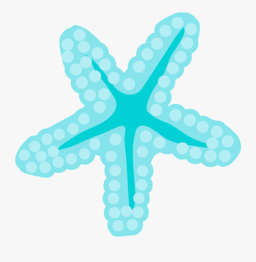 Seashell Clipart Turquoise - Estrella De Mar Sirenita, Transparent Clipart