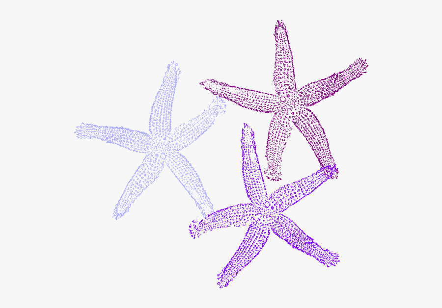 Starfish Clipart Purple Starfish - Transparent Background Coral Clipart, Transparent Clipart