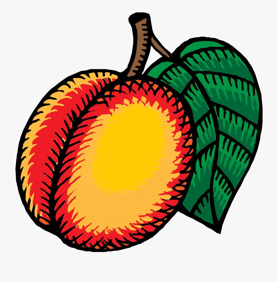 Border Clipart Peach Tree Clipart Avocado Clipart Apricot - Cartoon Nectarine Png, Transparent Clipart