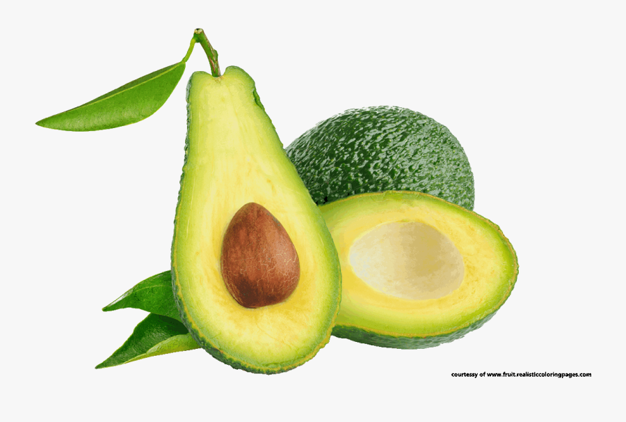 Transparent Avocado Clipart - Avakado Png, Transparent Clipart