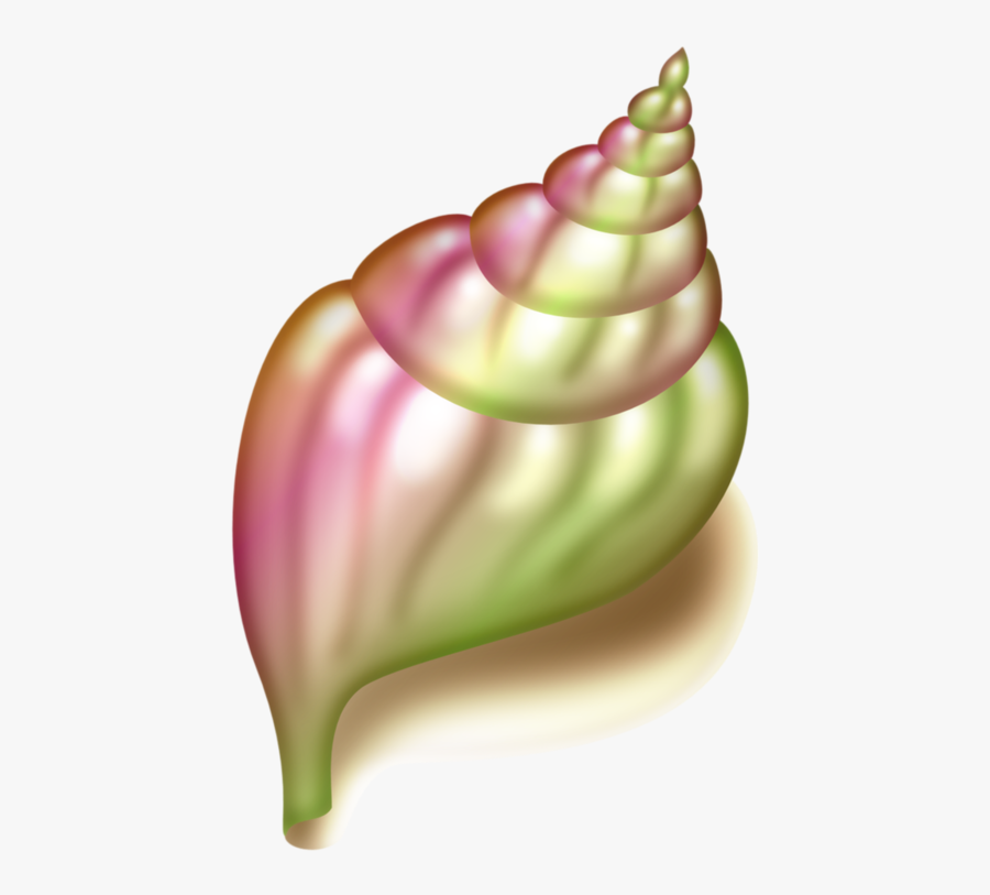 Seashell Conch Clip Art - Concha Do Mar Png, Transparent Clipart