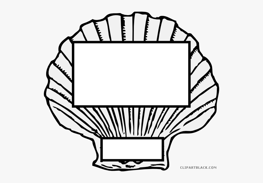 Shell Clipart Horse Conch - Clip Art Shell Png, Transparent Clipart
