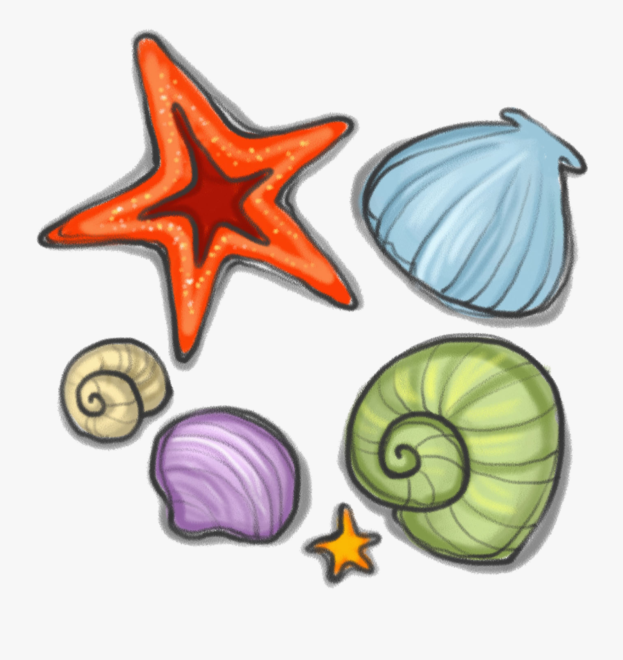Seashell Starfish Snail Clip - Estrellas De Mar Caracoles Png, Transparent Clipart