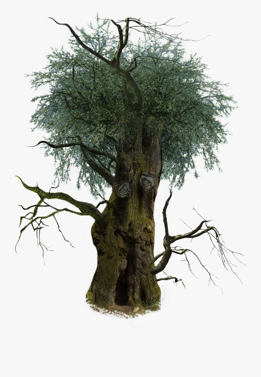 Clip Art D Trees Transprent Png Free - Transparent Background Tree Branch, Transparent Clipart