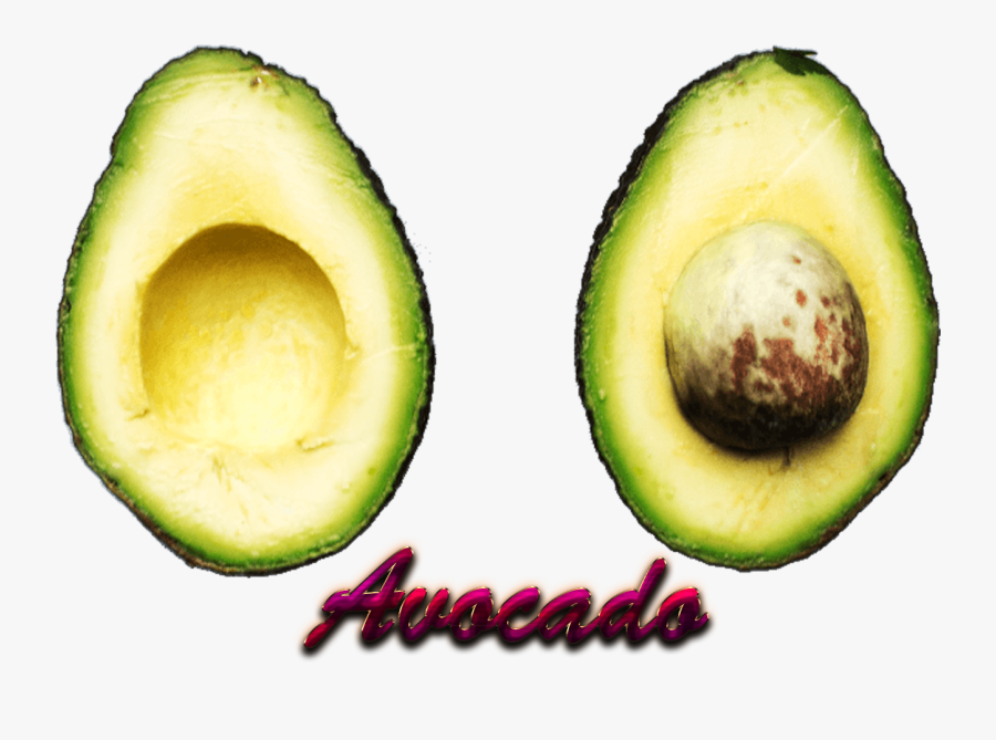 Transparent Avocado Clipart Png - Portable Network Graphics, Transparent Clipart