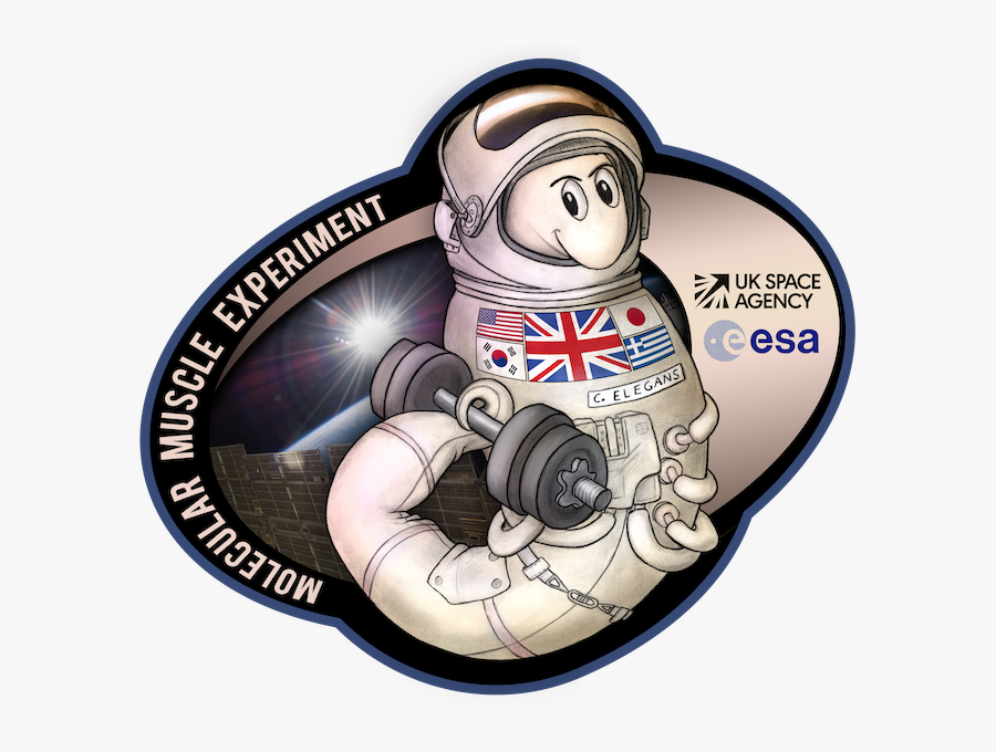 Worms In Space Logo - Worms In Space, Transparent Clipart