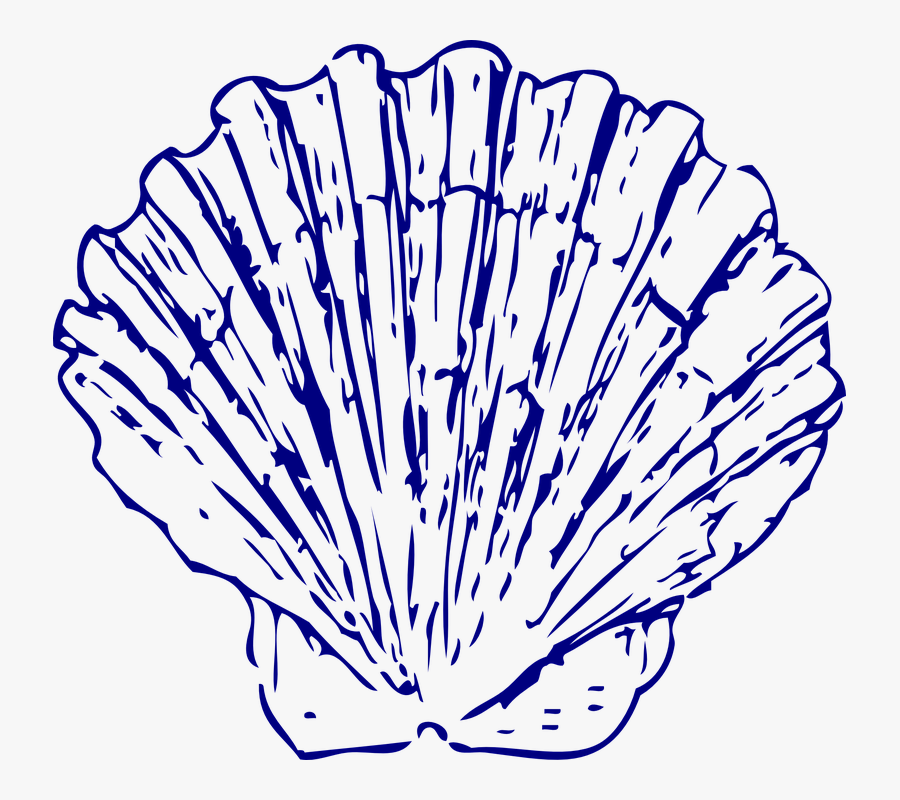 Transparent Fan Clipart - Blue Sea Shell Clip Art, Transparent Clipart
