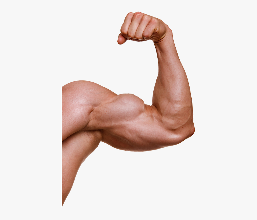 Muscle Hand Png Image With Transparent Background Muscle - Muscle Arm Png, Transparent Clipart