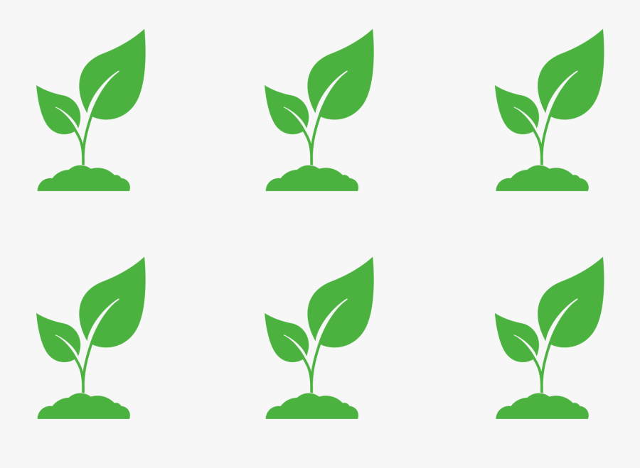 Rectangular Planting Pattern - Estimate How Many, Transparent Clipart