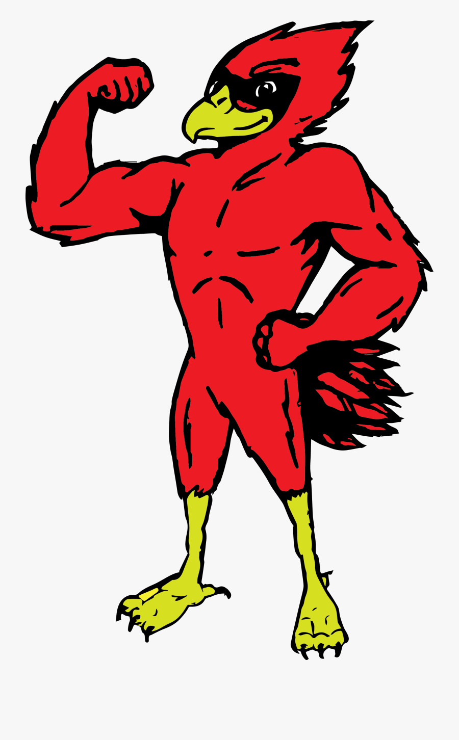 Michigan Lutheran Seminary Jpg Freeuse Stock - Muscular Cardinal, Transparent Clipart