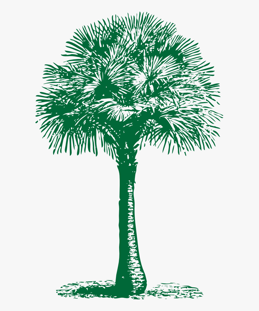 Australian Fan Palm - Logo Pohon Lontar, Transparent Clipart
