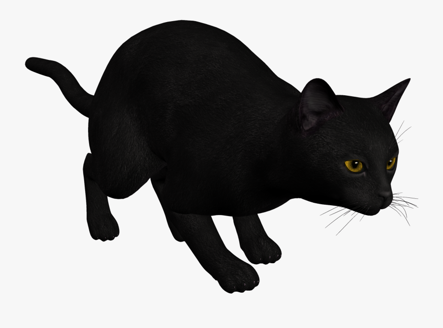 Cat Black Png Clipart Clipart Image - Cat Pouncing Illustration, Transparent Clipart