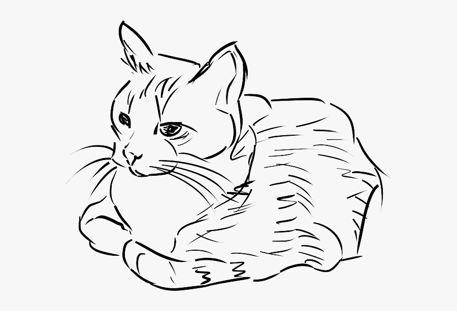 Cat Drawing Png, Transparent Clipart