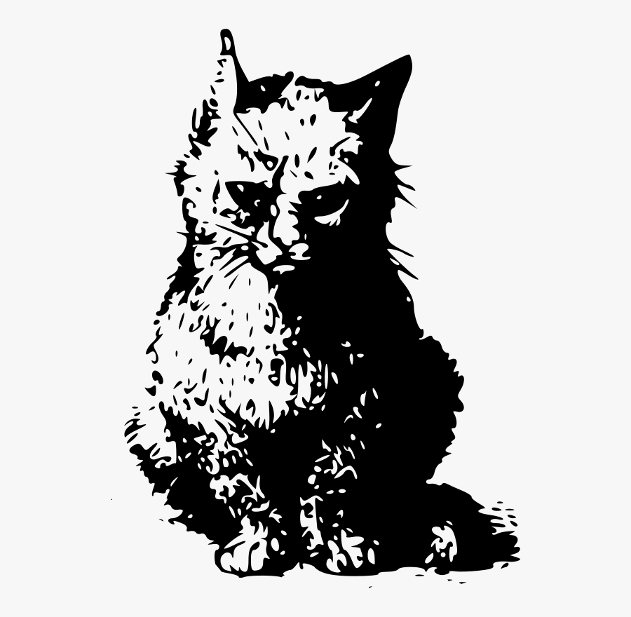 Cat Illustration Black White Line Art 555px - Cat Of Schrodinger Png, Transparent Clipart