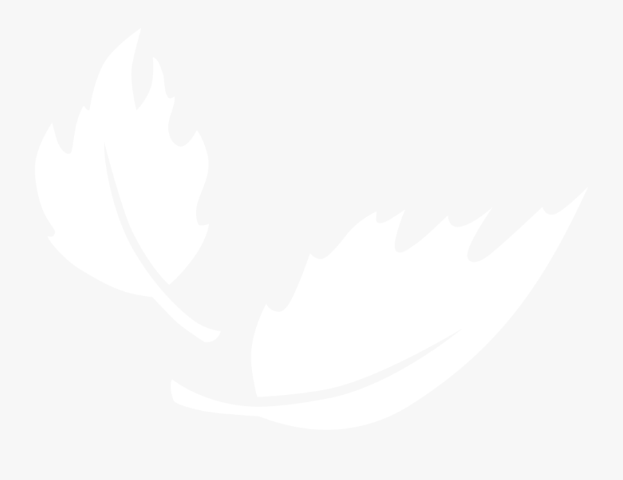 Ness Walk Leaf Logo - Illustration, Transparent Clipart