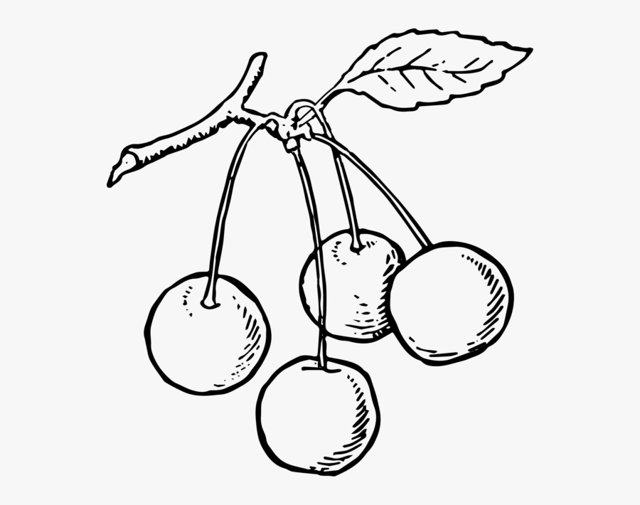 Cad Tea Time Fruit Veg Teapot-2 - Cherries Drawing, Transparent Clipart