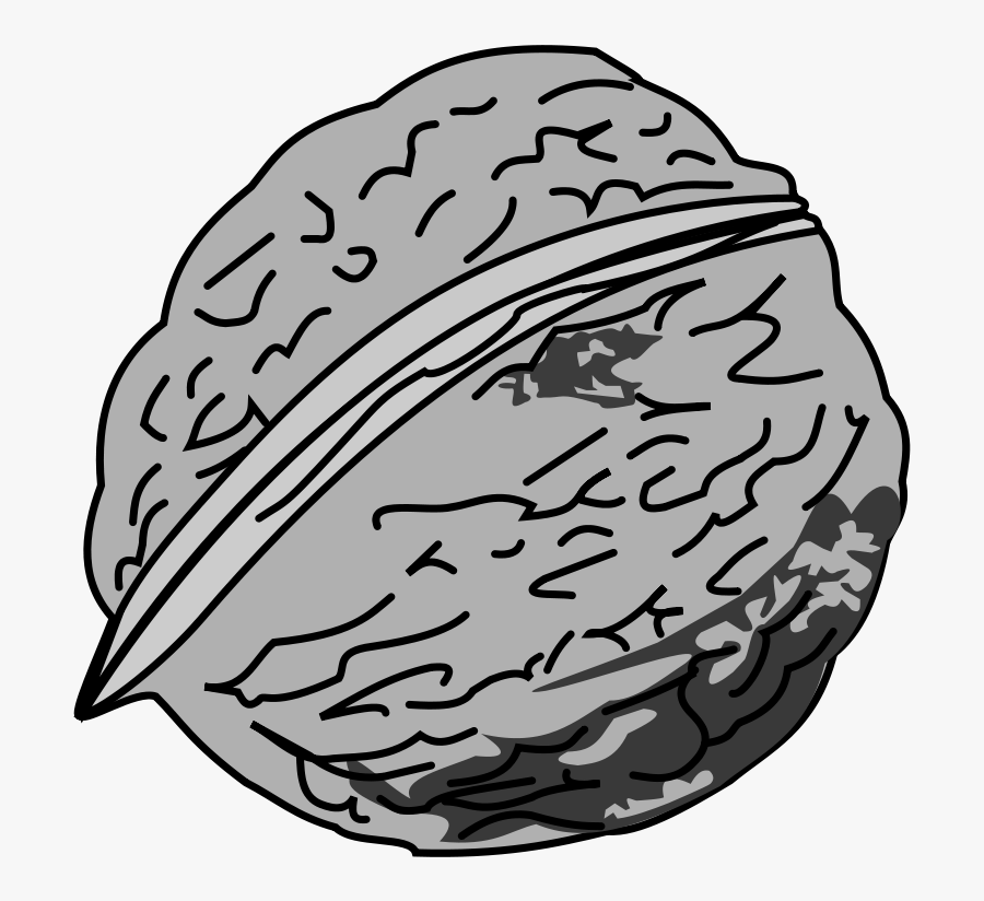 Collection Of Nut - Walnut Clipart Black And White, Transparent Clipart
