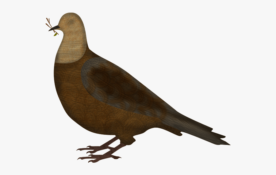 Dove - Noah's Ark Pigeon, Transparent Clipart