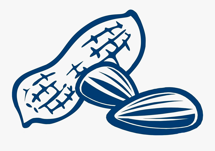 Peanut Kuaci Drawing Snack Melon Seeds - 花生 矢量, Transparent Clipart