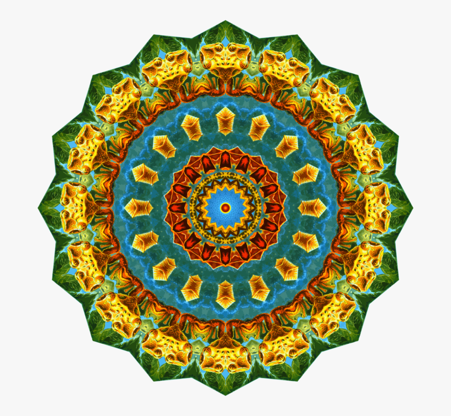 Circle,flower,symmetry - Serval, Transparent Clipart