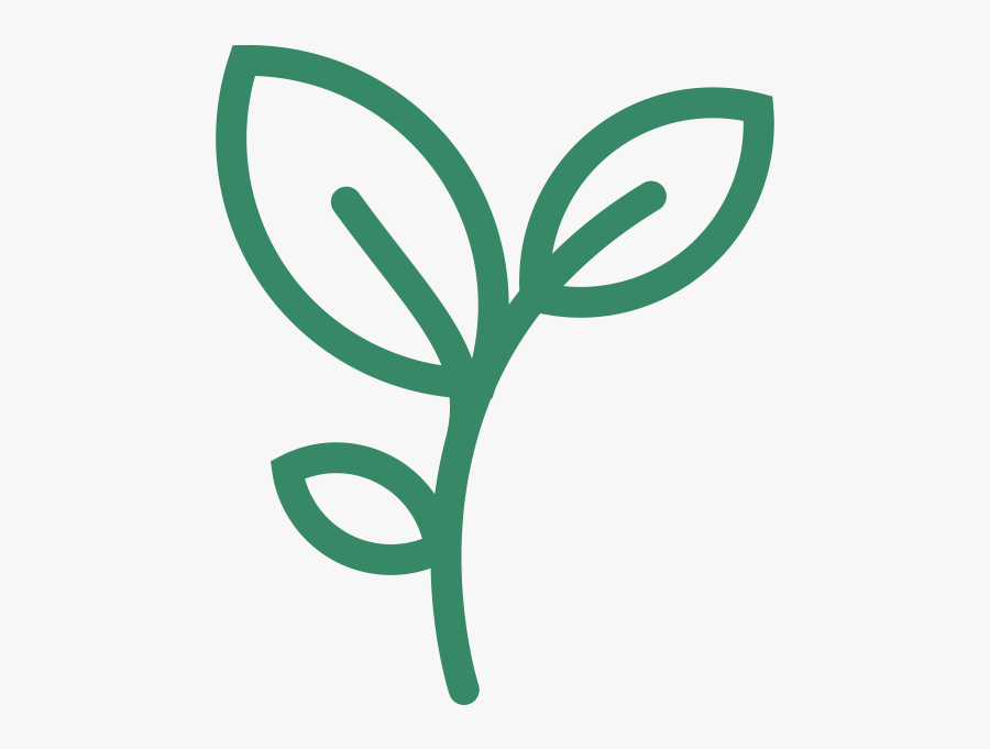 Growth - Plant Shoot Icon, Transparent Clipart