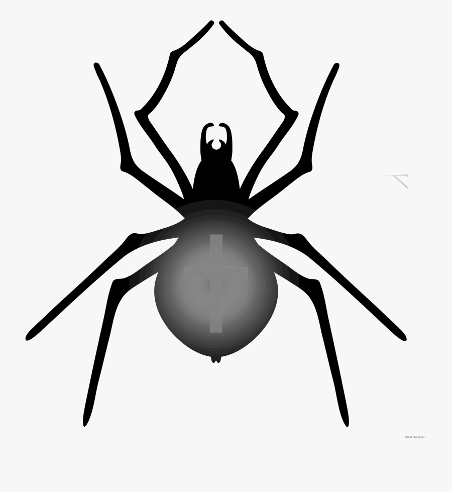 Halloween Clipartblack Com Animal - Halloween Spider Png, Transparent Clipart