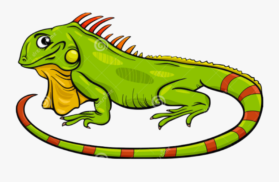 Latest Cliparts For Free - Clipart Image Of Iguana, Transparent Clipart