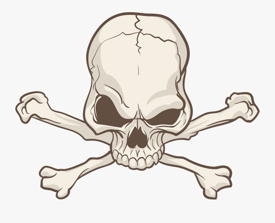 Skull With Transparent Background, Transparent Clipart