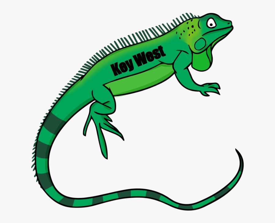 Reptile Clipart, Transparent Clipart