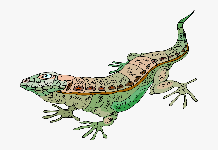 Lizard Clipart 1 - Lizard, Transparent Clipart