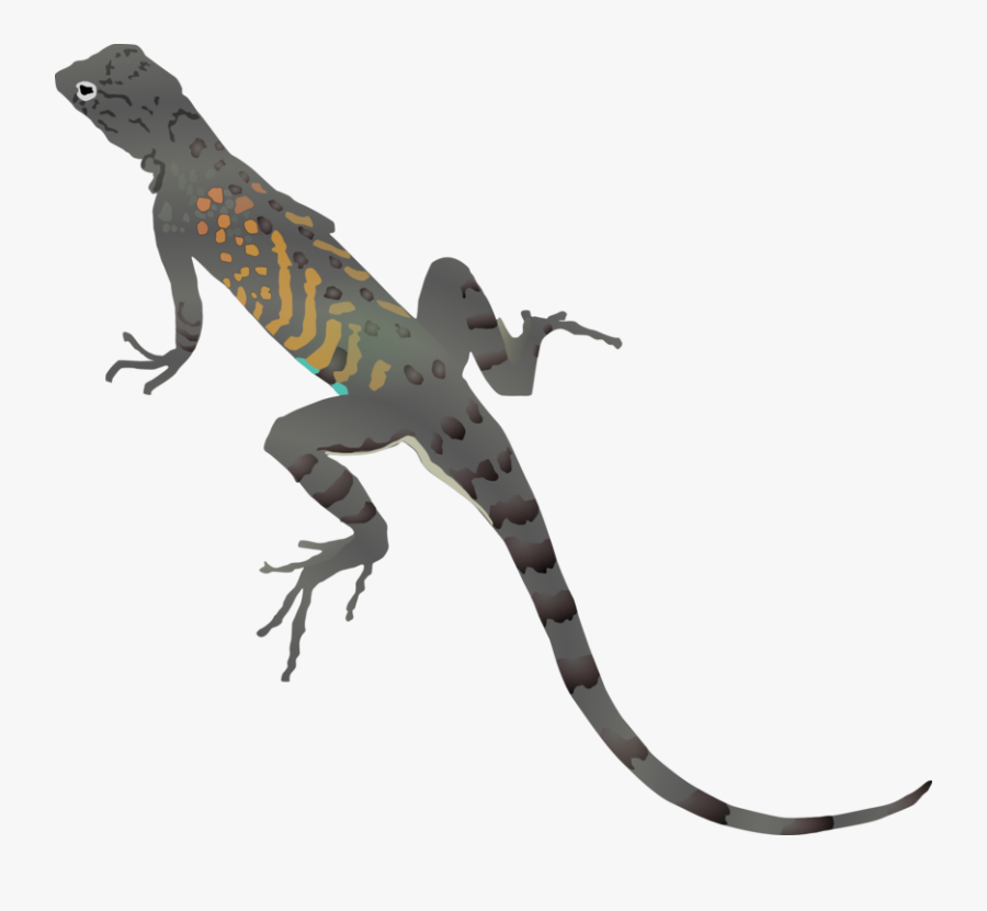 Lizard Clipart, Transparent Clipart