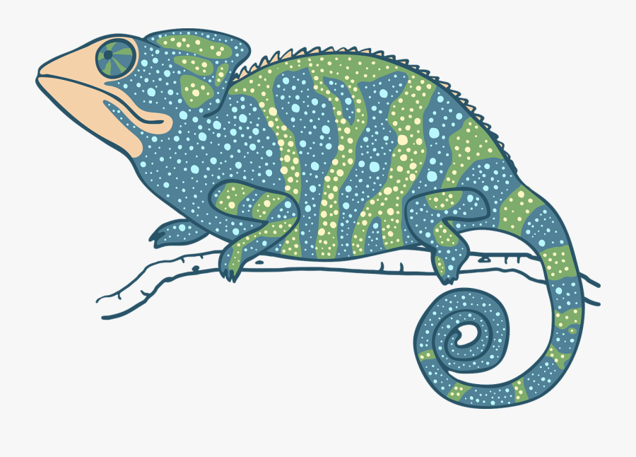 Chameleon Reptile Free Vector - Kameleont Png, Transparent Clipart
