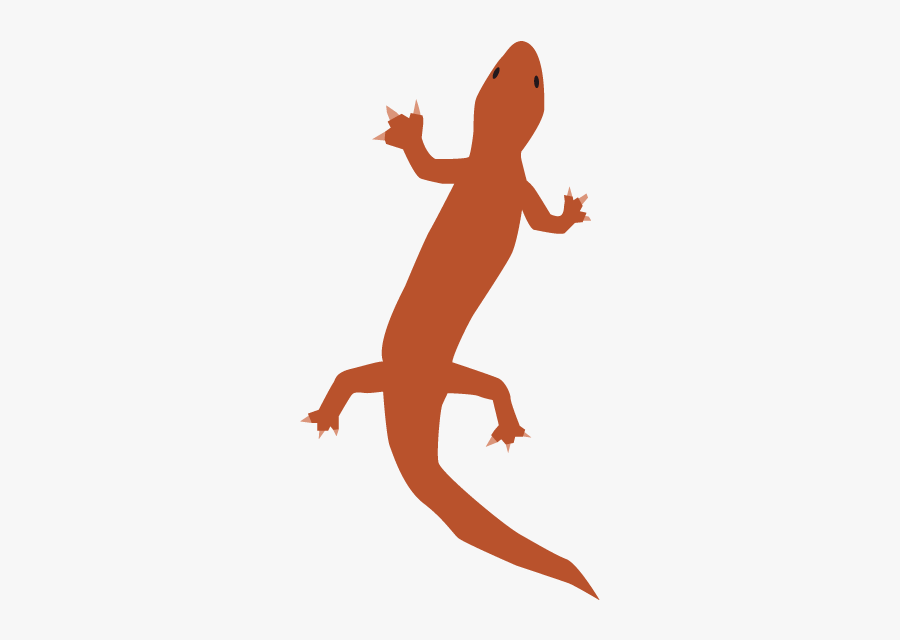 Gecko, Transparent Clipart