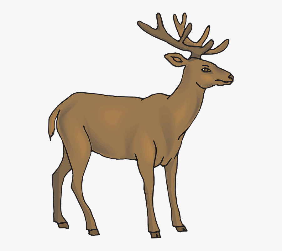 Deer Clipart Gif - Deer Clip Art, Transparent Clipart