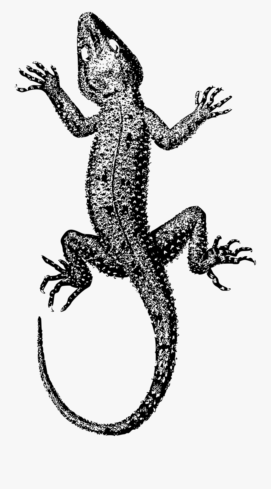 Basic Lizard - Dragon Lizard, Transparent Clipart