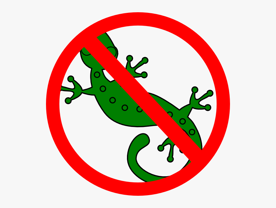 No Lizard Allowed Sign, Transparent Clipart