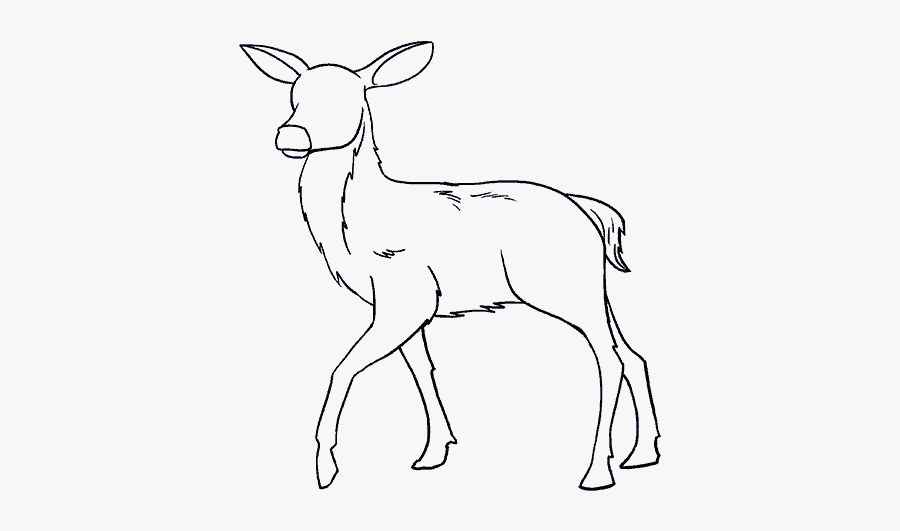 How To Draw Deer - Deer Drawing, Transparent Clipart