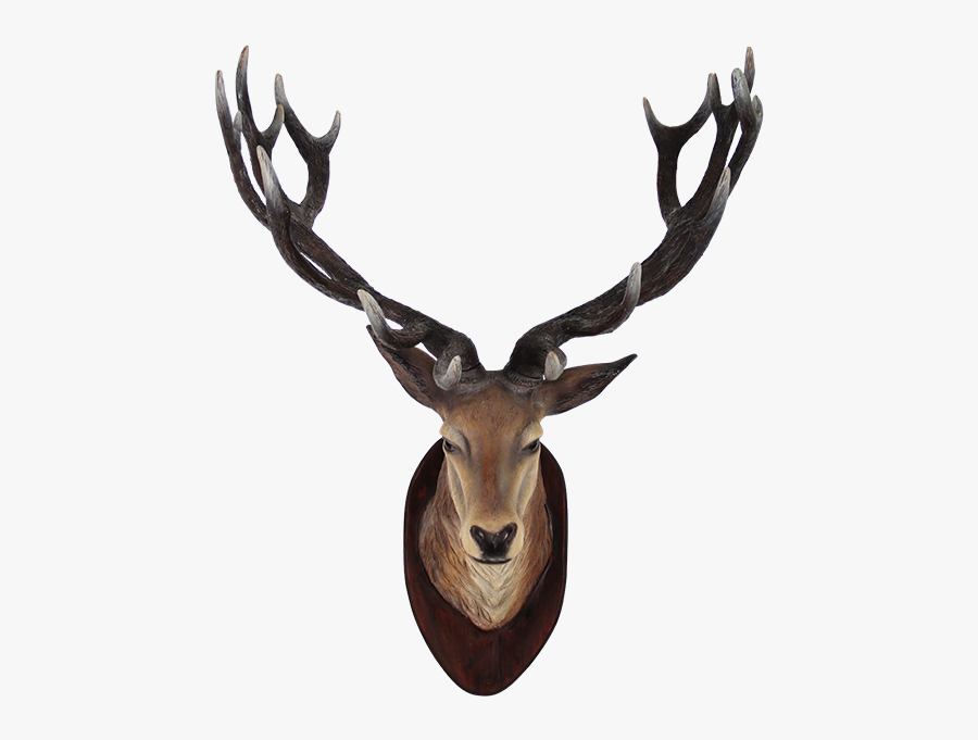 Deer Head Png, Transparent Clipart