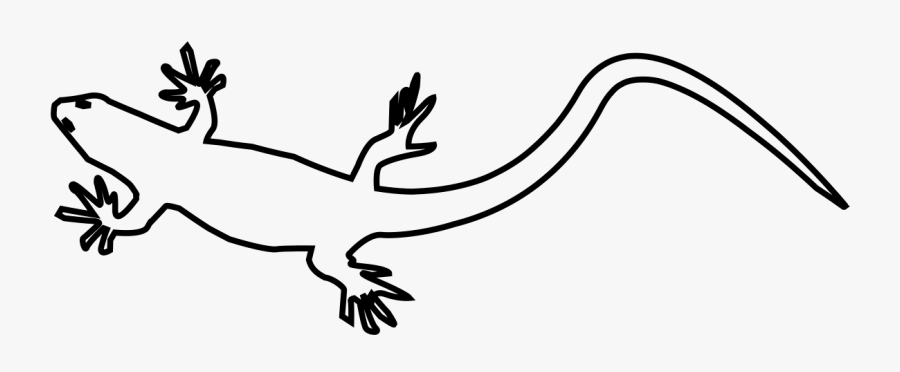 File Gecko Wikipedia Filegeckosvg - رسم ابو بريص, Transparent Clipart