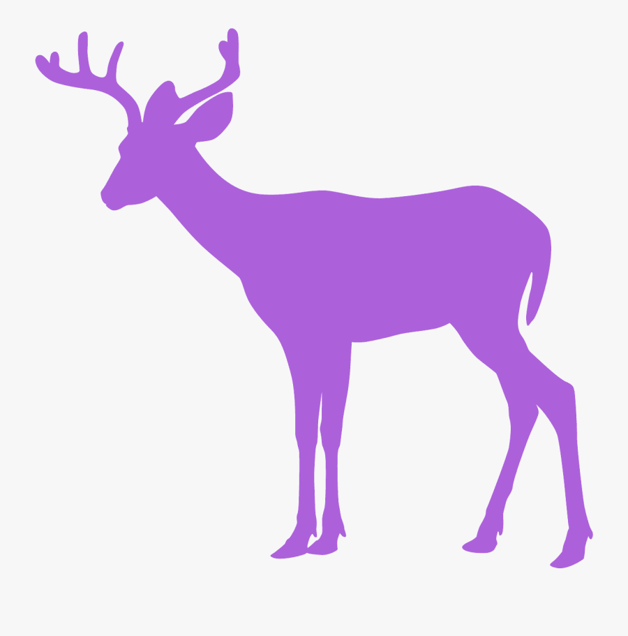 Deer Head Clip Art, Transparent Clipart