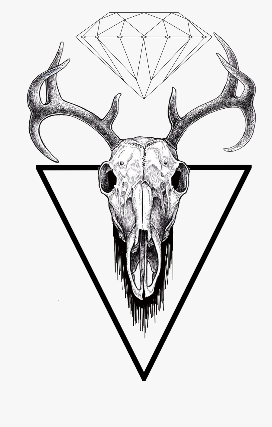 Find Us On Facebook - Pencil Drawings Of Deer Skull, Transparent Clipart