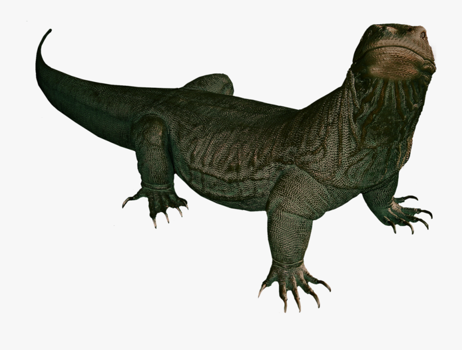 Komodo Dragon Transparent Background, Transparent Clipart