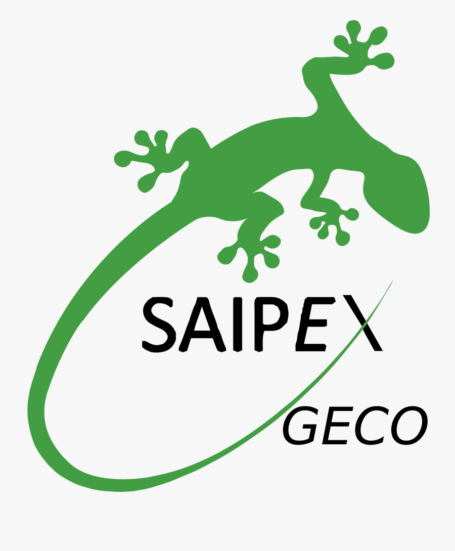 Lizard Clipart Geco - Sam Eyde Videregående Skole, Transparent Clipart