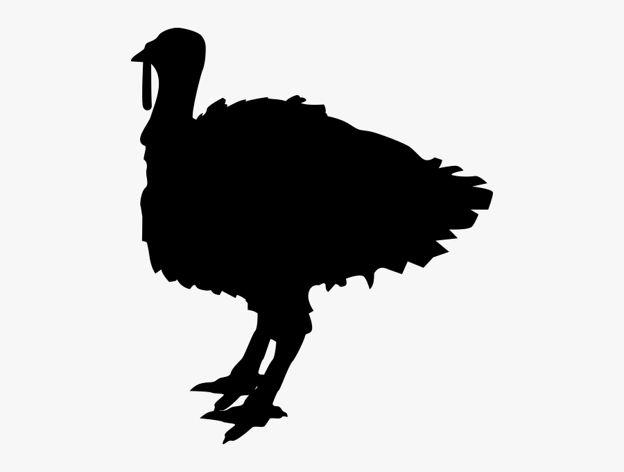 Transparent Turkey Silhouette Png - Turkey Clip Art Black, Transparent Clipart