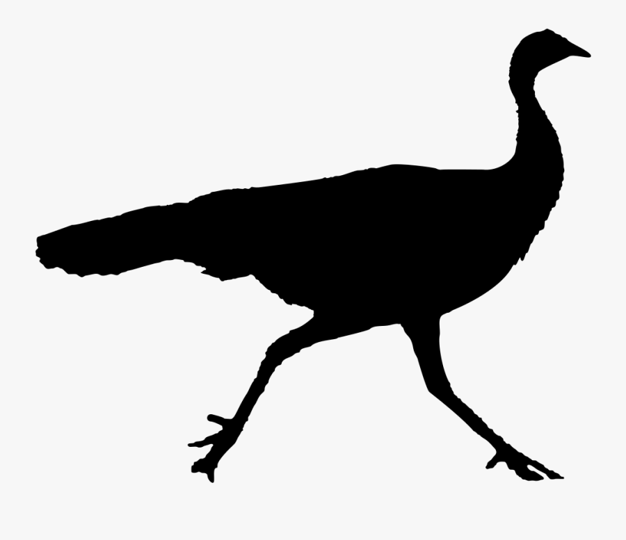 Wild Turkey Silhouette - Wild Turkey Black Clip Art, Transparent Clipart