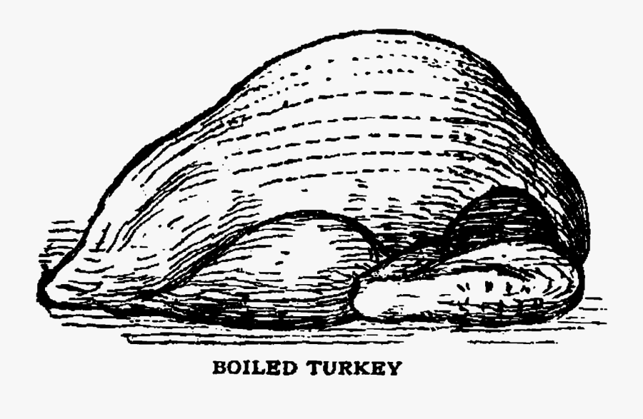 Drawing, Transparent Clipart