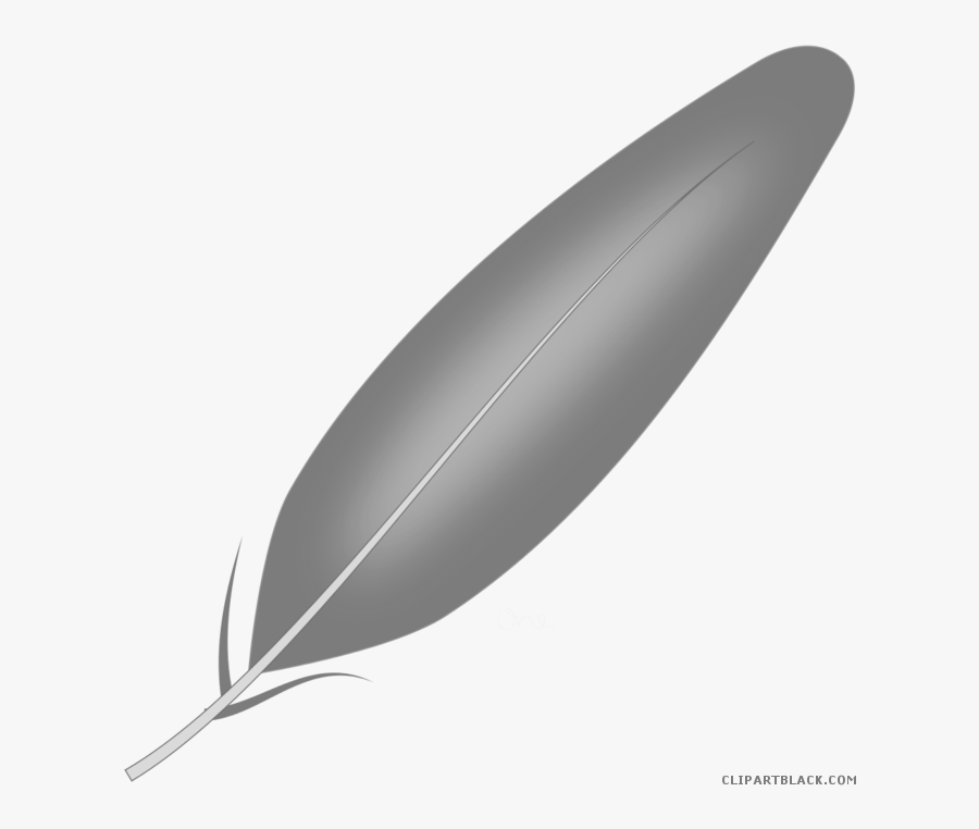 Transparent Feather Clipart Black And White - Native American Feather Transparent Background, Transparent Clipart